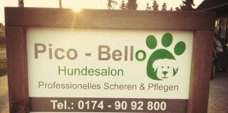 Neuer Hundesalon in Lingen / Biene