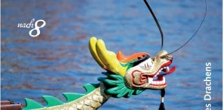 nAcht des Drachens - Foto: Otmar Smit / fotolia