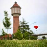 Sommer / Blümchen vor dem Wasserturm in Lingen © MK Art