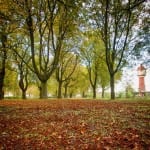 Herbst / Natur / Wasserturm in Lingen © MK Art