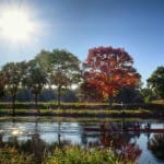 Ruderer auf dem Dortmund-Ems-Kanal in Lingen © MK Art