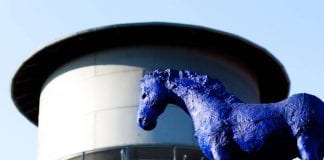 Kunsthalle / Wasserturm / Blaues Pferd in Lingen © LNGN.de
