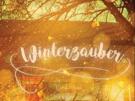 Winterzauber auf dem Universitätsplatz