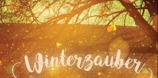 Winterzauber auf dem Universitätsplatz