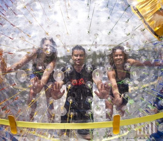 Fishpipe im Linus Lingen